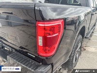 Recent Arrival! 2022 Ford F-150 XLT Carbonized Gray Metallic 302A XLT SPORT PKG 360 Degree Camera Na... (image 8)
