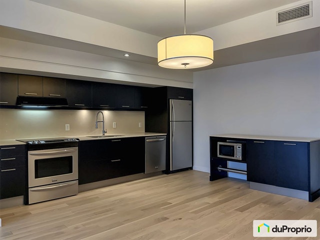 $450,000 - Condominium in Ville-Marie (downtown, old Mtl) — photo 3