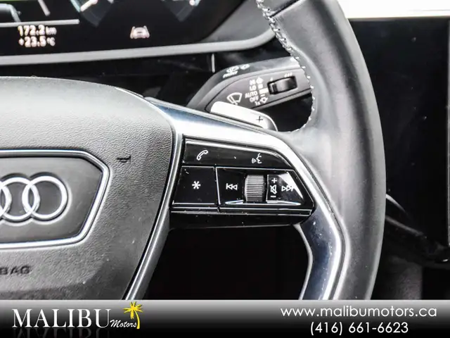 2019 Audi e-tron Technik5570167698895872019