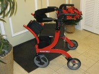 BRAND NEW WALKER CONVERTS TO WHEEL CHAR Ottawa Ottawa / Gatineau Area Preview