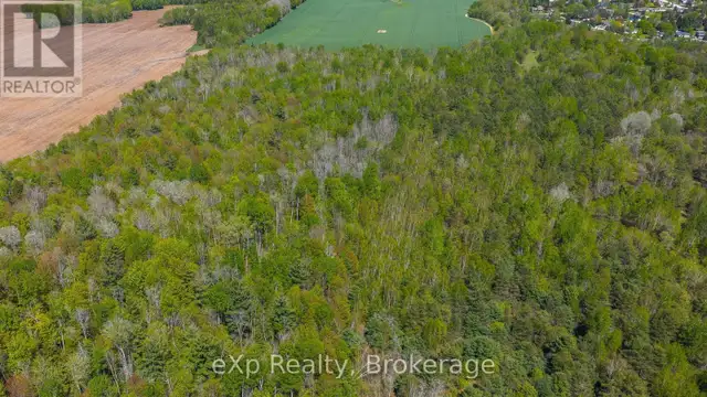 5716 COUNTY ROAD 9 Clearview, Ontario in Land for Sale in Oakville / Halton Region - Image 33