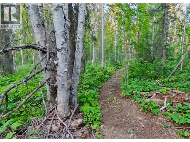 Lot 1 Neville Road Golden, British Columbia in Land for Sale in Revelstoke - Image 18