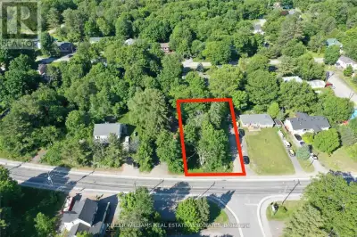Muskoka commercial and residential building lot on main road with great street exposure 75 x 150 Ft...
