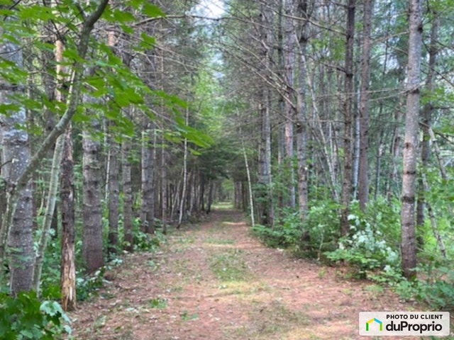 $178,000 - Wood Lot for sale in Ste-Angele-De-Prémont — photo 2