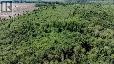 WOW!! 25 ACRES OF LAND!! Welcome to this spacious parcel of land located in the Saint-Charles commun...