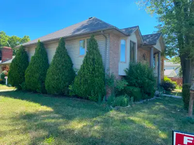 South Windsor Raised Ranch house Lower floor for rent. Spacious 3 bedrooms, 1 bathroom, open concept...