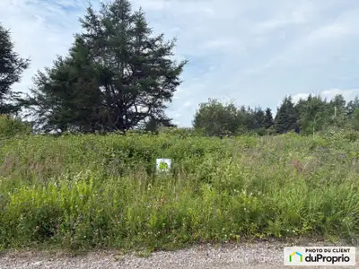 Terrain plat à vendre rue belvédère sur le fleuve Grand terrain de 4254,4 m2. Complètement défricher...