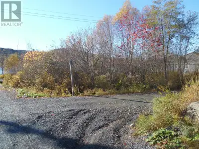 Located on a quiet street in Shoal Harbour, this lot offers direct access to the Trailway—perfect fo...