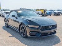 Come see this 2025 Ford Mustang I4CV before someone takes it home! *Get Your Money's Worth for this... (image 6)