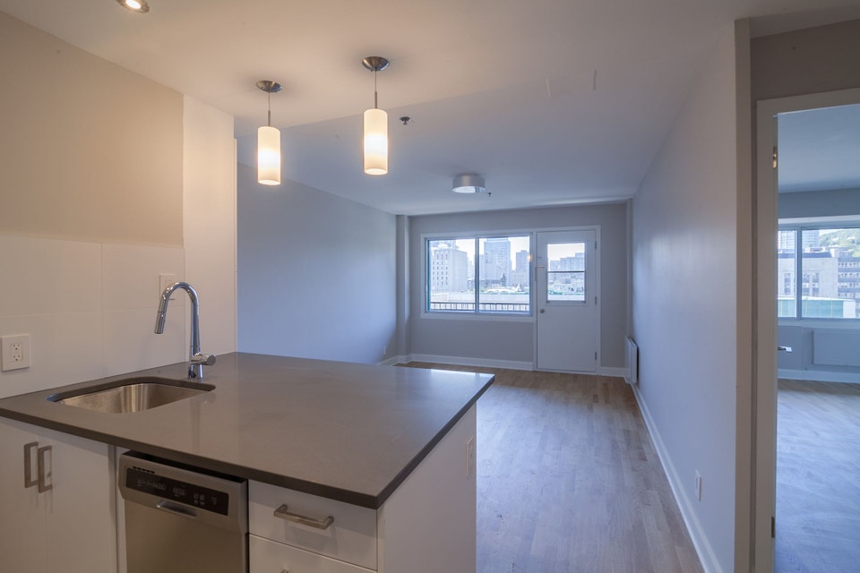 Renovated one bedroom apartment near McGill - ID 1093 5