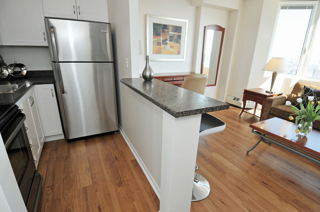 Beautiful One Bedroom $1625,  Available Now in Long Term Rentals in Ottawa - Image 4