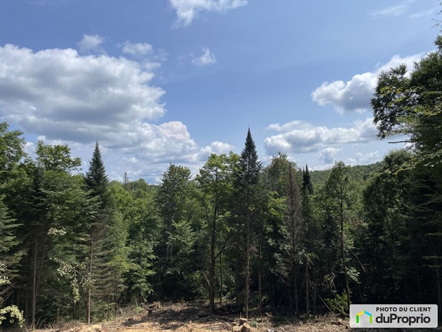 $105,000 - Residential Lot in Ste-Marguerite-Du-Lac-Masson — photo 3