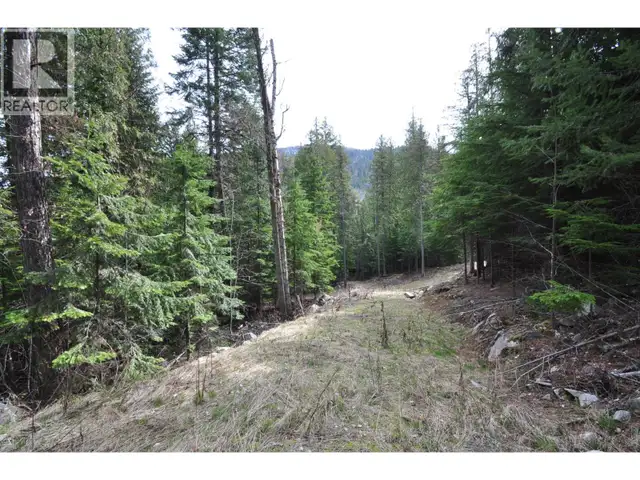 2835 SILVER KING Road Nelson, British Columbia in Land for Sale in Nelson - Image 5