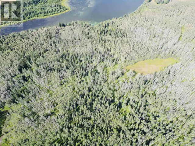 DL 941 SHAEFFER LAKE Burns Lake, British Columbia in Land for Sale in Burns Lake - Image 5