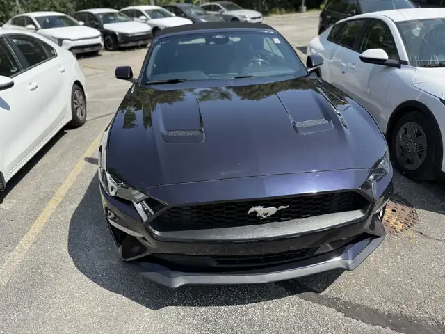 2023 Ford Mustang EcoBoost Premium Fastback for sale in Cars & Trucks in Mississauga / Peel Region - Image 7