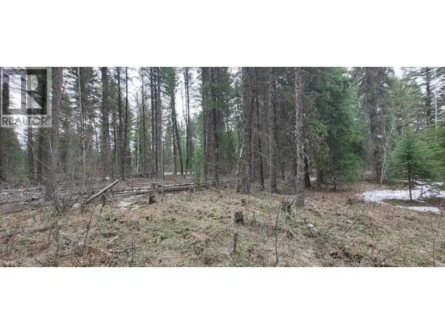 LOT B BRYCE ROAD Forest Grove, British Columbia in Land for Sale in 100 Mile House - Image 17