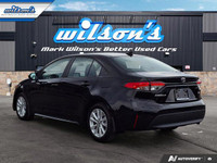 Look at this certified 2024 Toyota Corolla LE Upgrade | Sunroof | Heated Seats | Radar Cruise | Rear... (image 2)