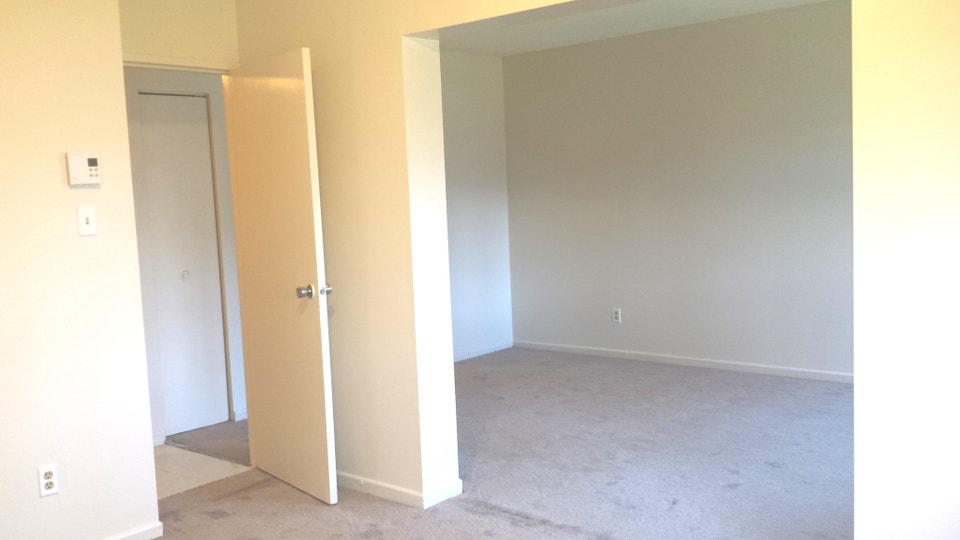 DECEMBER 1st - BACHELOR FOR $1299 4