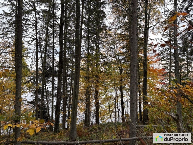 $110,000 - Residential Lot for sale in St-Michel-Des-Saints — photo 2