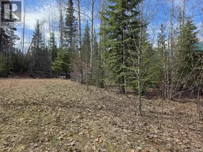 Rare opportunity to own a lot in Byron Circle! This lot is situated on the high end of the subdivisi...
