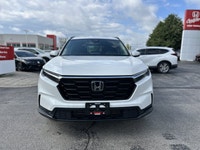 Come visit our Sterling Honda team, you can find us at 1495 Upper James Street, Hamilton, ON L9B 1K2... (image 1)