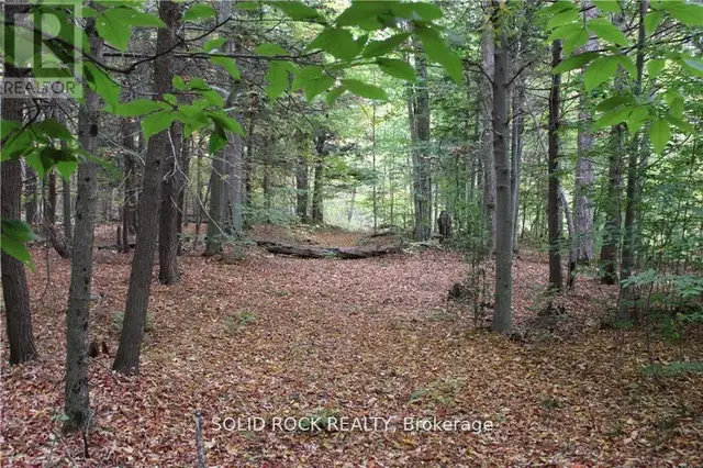 2209 JOCHEM ROAD Edwardsburgh/Cardinal, Ontario in Land for Sale in Woodstock - Image 14