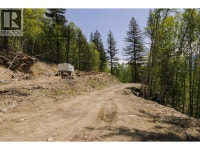 3260 MOUNTAIN VIEW ROAD McBride, British Columbia Quesnel Cariboo Area Preview