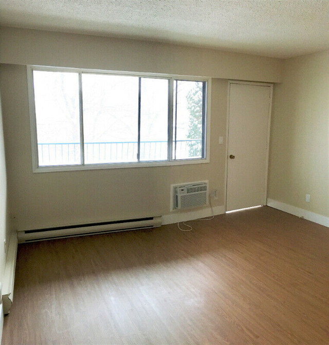 Chateau Garden Pet Friendly 1 Bedroom Unit Starting from 1395 Long Term Rentals Kamloops