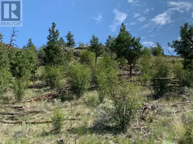 Lot A BARNHARTVALE Road Kamloops, British Columbia63235551814529123