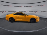 // ACCIDENT FREE!! // Turn every drive into an event in this used 2019 Ford Mustang EcoBoost Fastbac... (image 8)