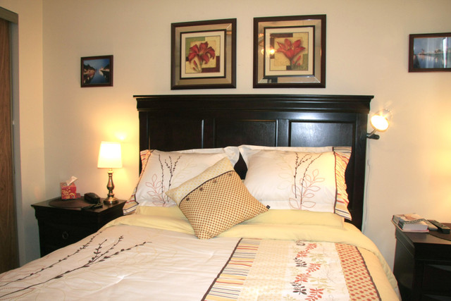 MUST SEE 2 bedroom apartment for rent in Owen Sound! in Long Term Rentals in Owen Sound - Image 4