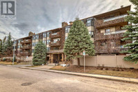 411, 3730 50 Street NW Calgary, Alberta