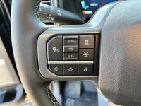 Welcome to Freedom Ford. The 2024 Ford Super Duty is a great vehicle for those drivers who need more... (image 9)