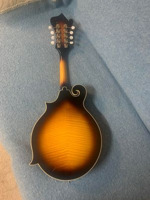 Mandolin in String in Pembroke - Image 2
