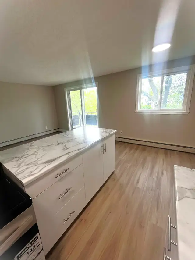 1 Month Free | Renovated 1-Bedroom | In-Suite Laundry | Balcony in Long Term Rentals in Sarnia - Image 8