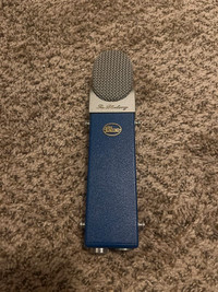 Blue Blueberry Professional Cardioid Studio Microphone
