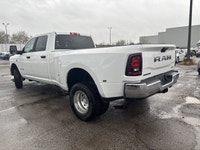 DUAL REAR WHEELS -inc: Clearance Lamps Tires: LT235/80R17E BSW All-Season 17 Steel Spare Wheel Box &... (image 6)