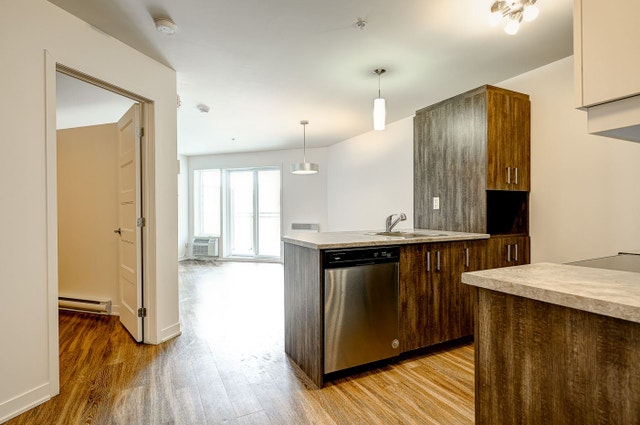 173 Armand-Frappier Boulevard — photo 2