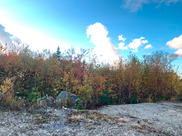Land for lease/rent 67 acres Bear River dans Mobilier pour terrasse et jardin  à Fort McMurray - Image 2