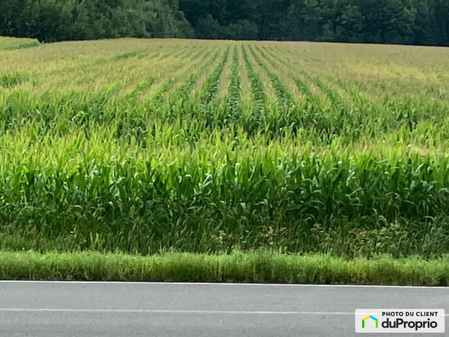 1 100 000$ - Terre agricole à vendre à St-David dans Terrains à vendre  à Saint-Hyacinthe