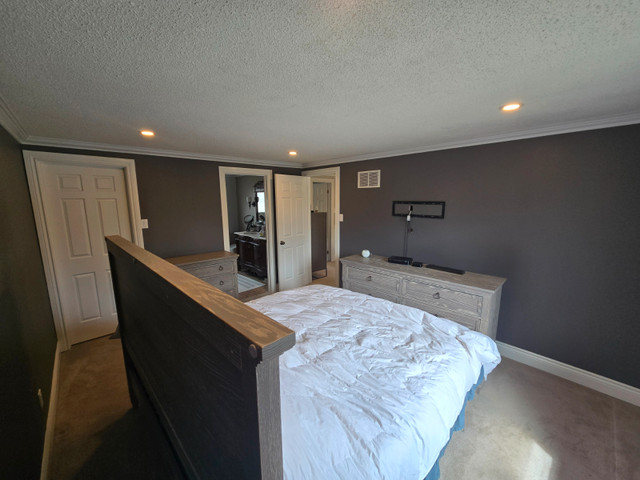 Skilled painter in Construction & Trades in Mississauga / Peel Region - Image 3