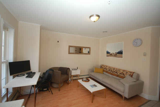 1 Bedroom Downtown Halifax for July in Long Term Rentals in City of Halifax - Image 3