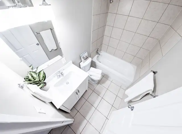 ALL INCLUSIVE - Silverbirch Apts 1BR in Waterloo in Long Term Rentals in Kitchener / Waterloo - Image 16