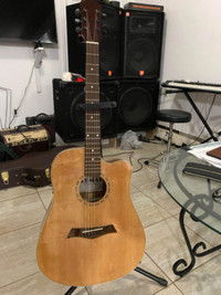 Bran New Acoustic Guitar Build in electric