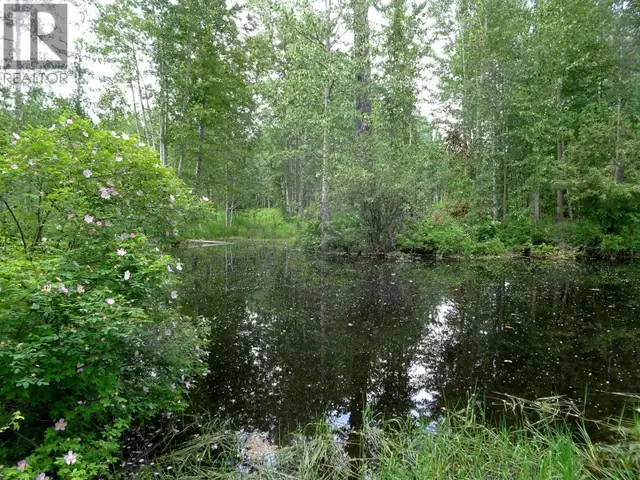 DL5277 DAY ROAD Horsefly, British Columbia in Land for Sale in Williams Lake - Image 21