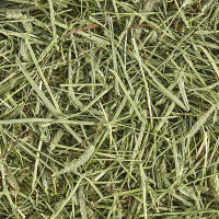 Timothy Grass Mix Hay bale