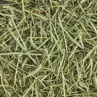 Timothy Grass Mix Hay bale