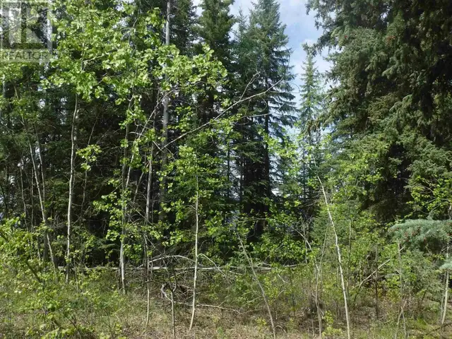 CHILCOTIN HIGHWAY Chilcotin, British Columbia in Land for Sale in Burns Lake - Image 10