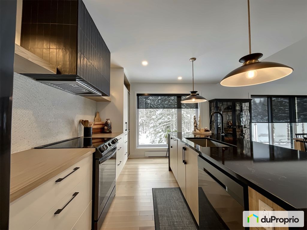 $940,000 - 2 Storey for sale in St-Donat — photo 3