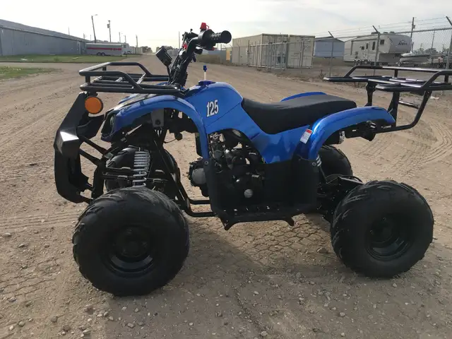 2025 BRAND NEW GIO BLAZER 125 ATV / QUAD / in ATVs in Brandon - Image 16